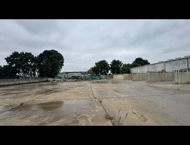 1,000M² WAREHOUSE TO LET IN WYNBERG